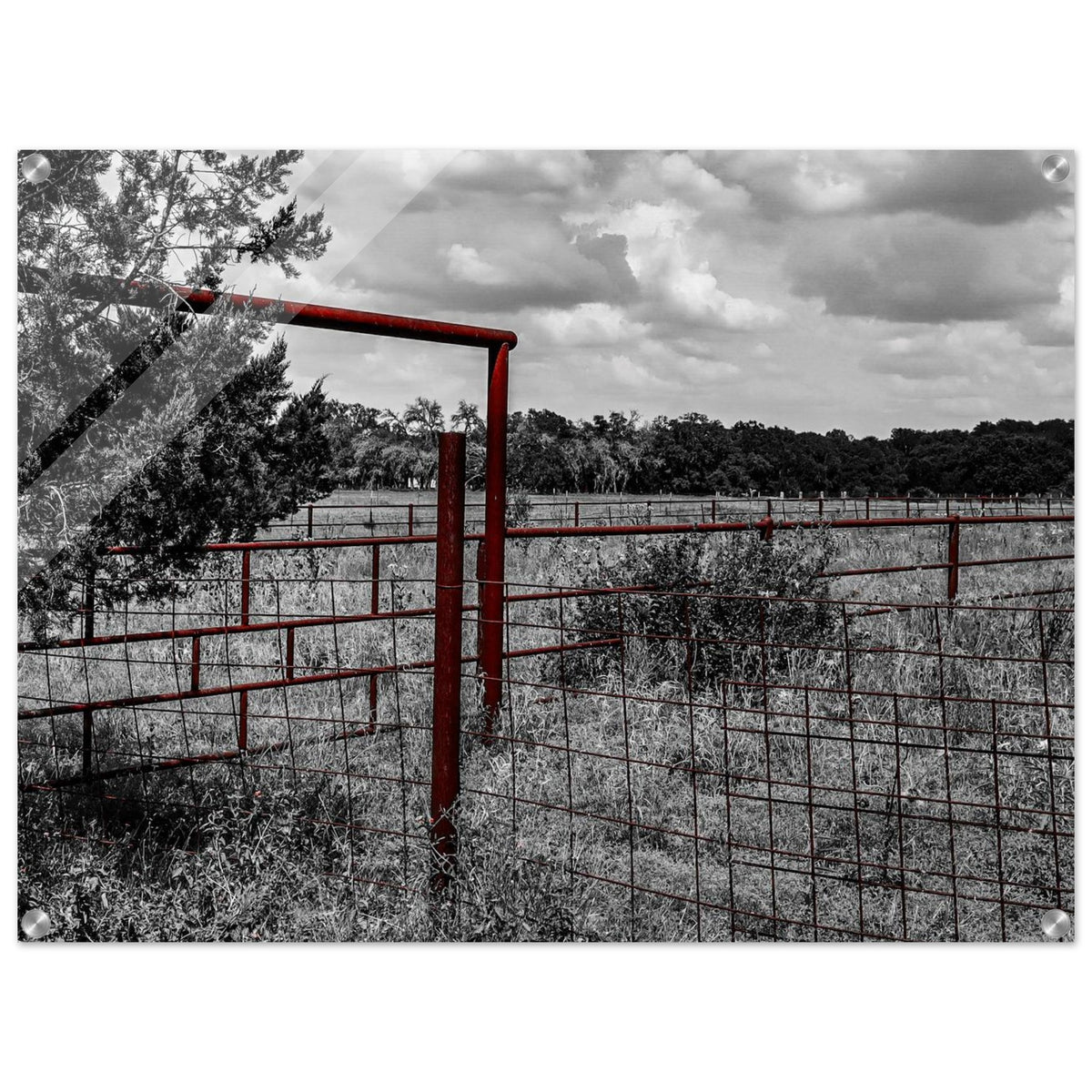 19f17e2d-5cad-4069-b35b-25cd13c3d544