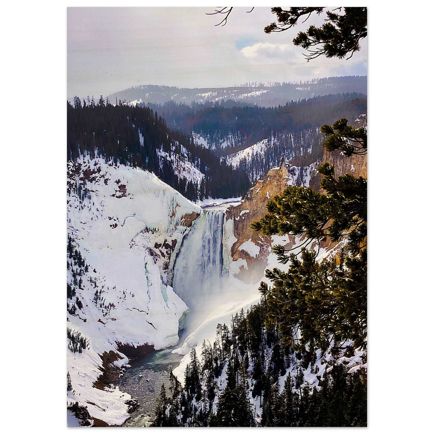Lower Falls, Yellowstone National Park