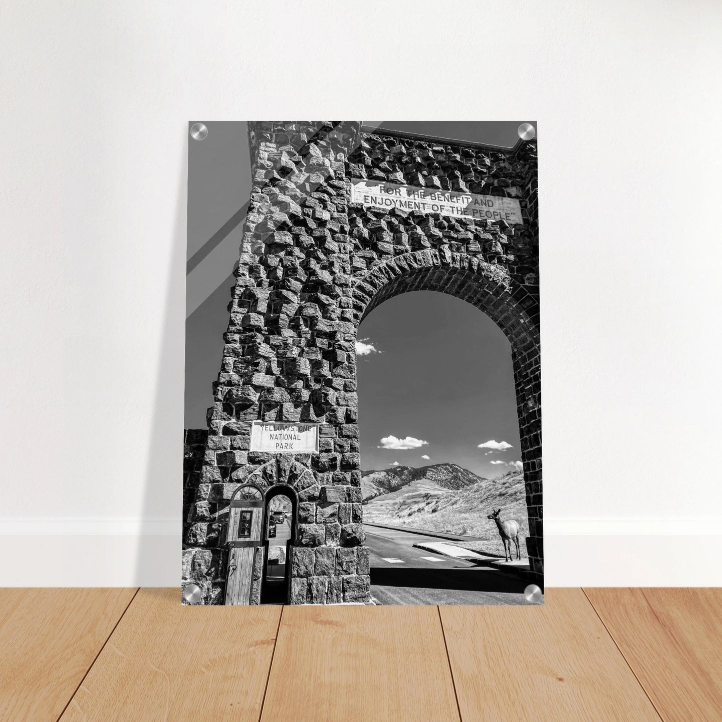 6bbb688c-78dc-419f-9481-7f9f0ad84e26