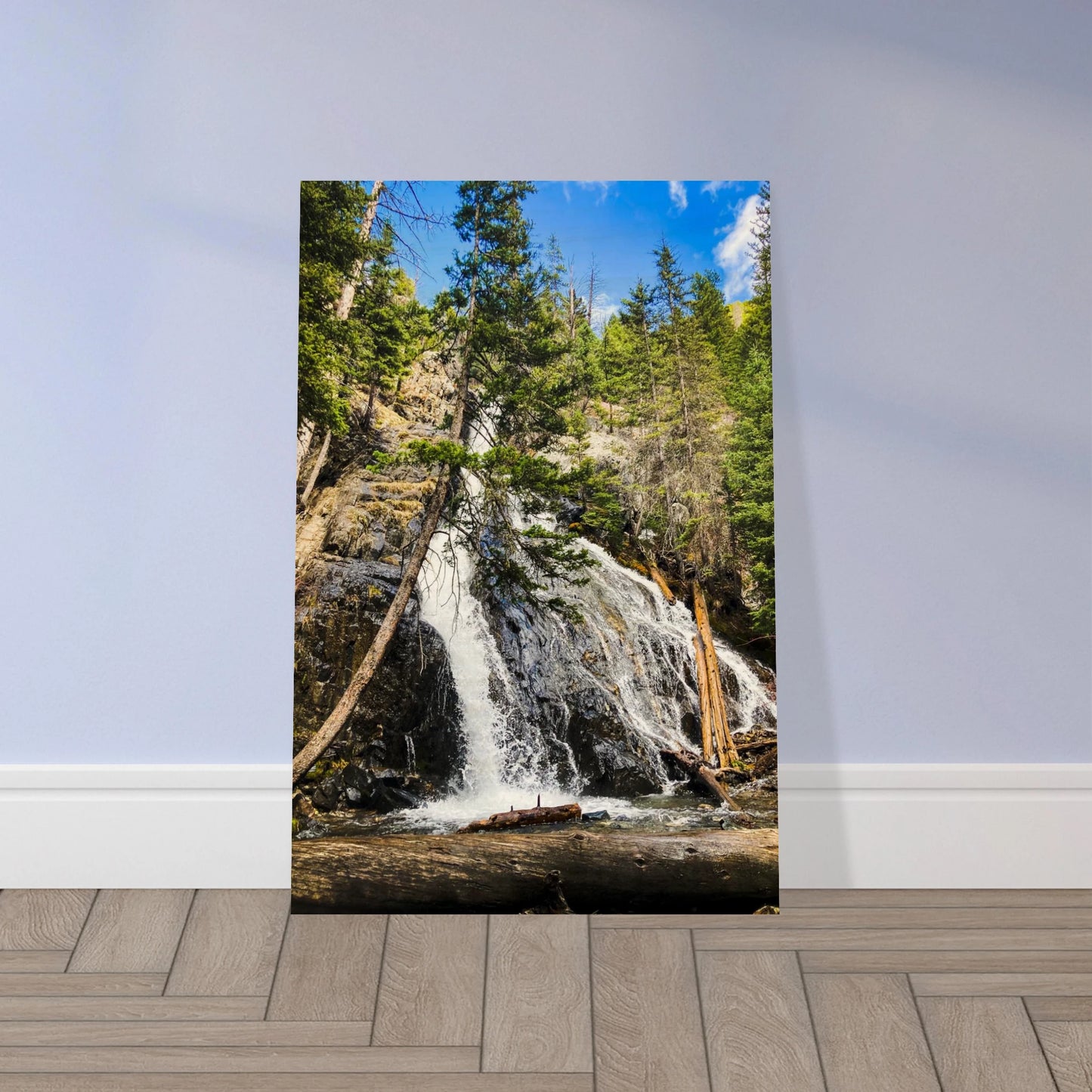 875dee4c-b84d-40c8-aa4b-1dbba5df9a17