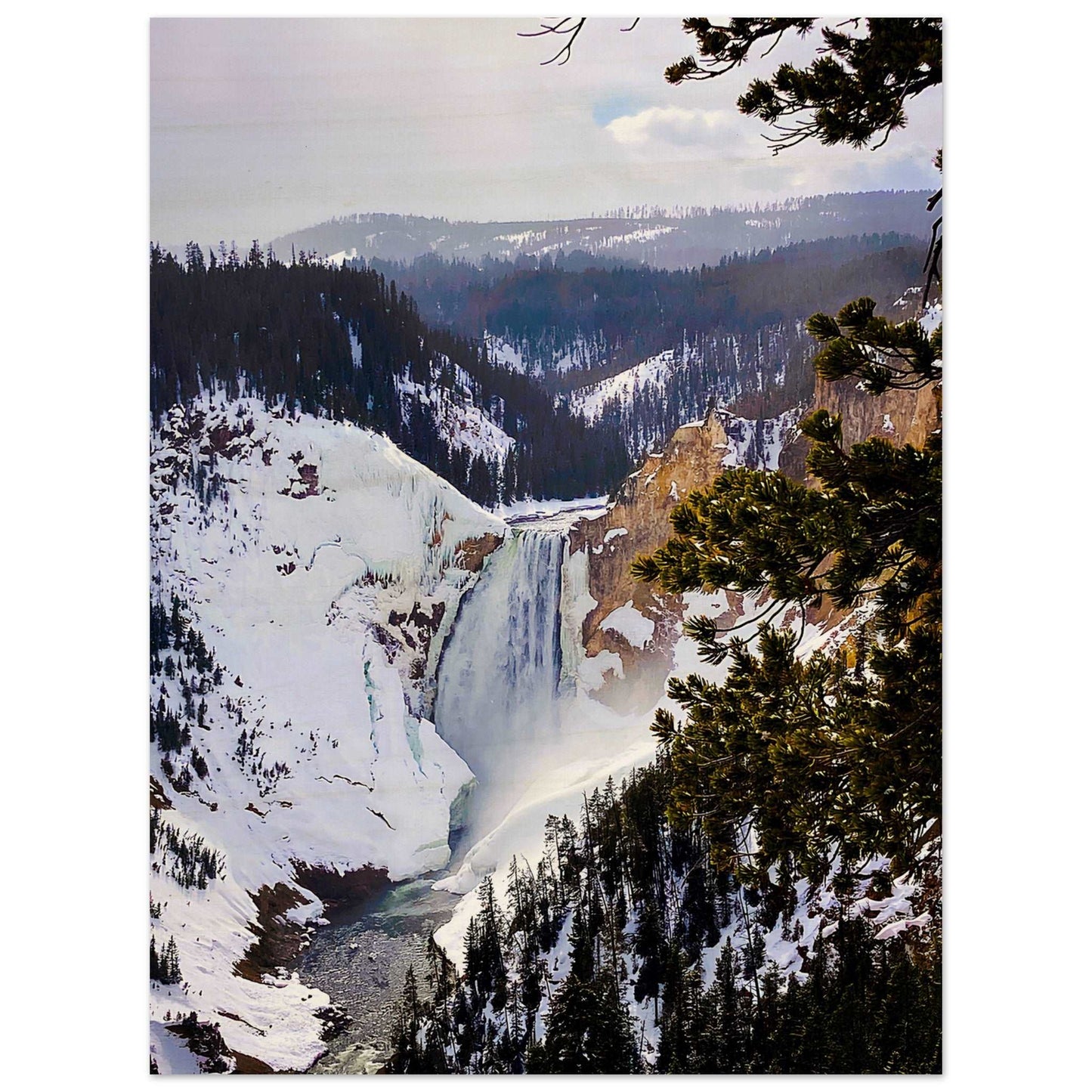 Lower Falls, Yellowstone National Park
