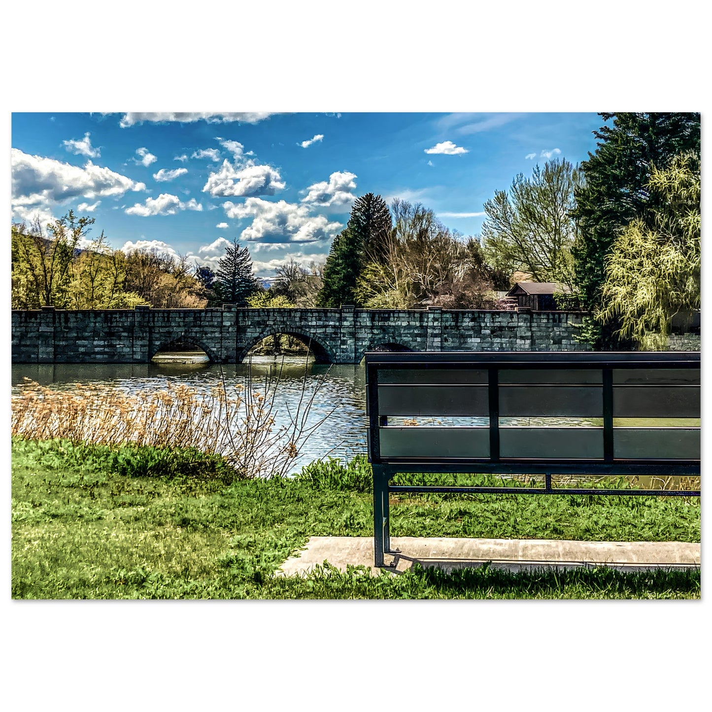 Sacagawea Park; Livingston, Montana I Premium Matte Poster Communitea Books James Bonner