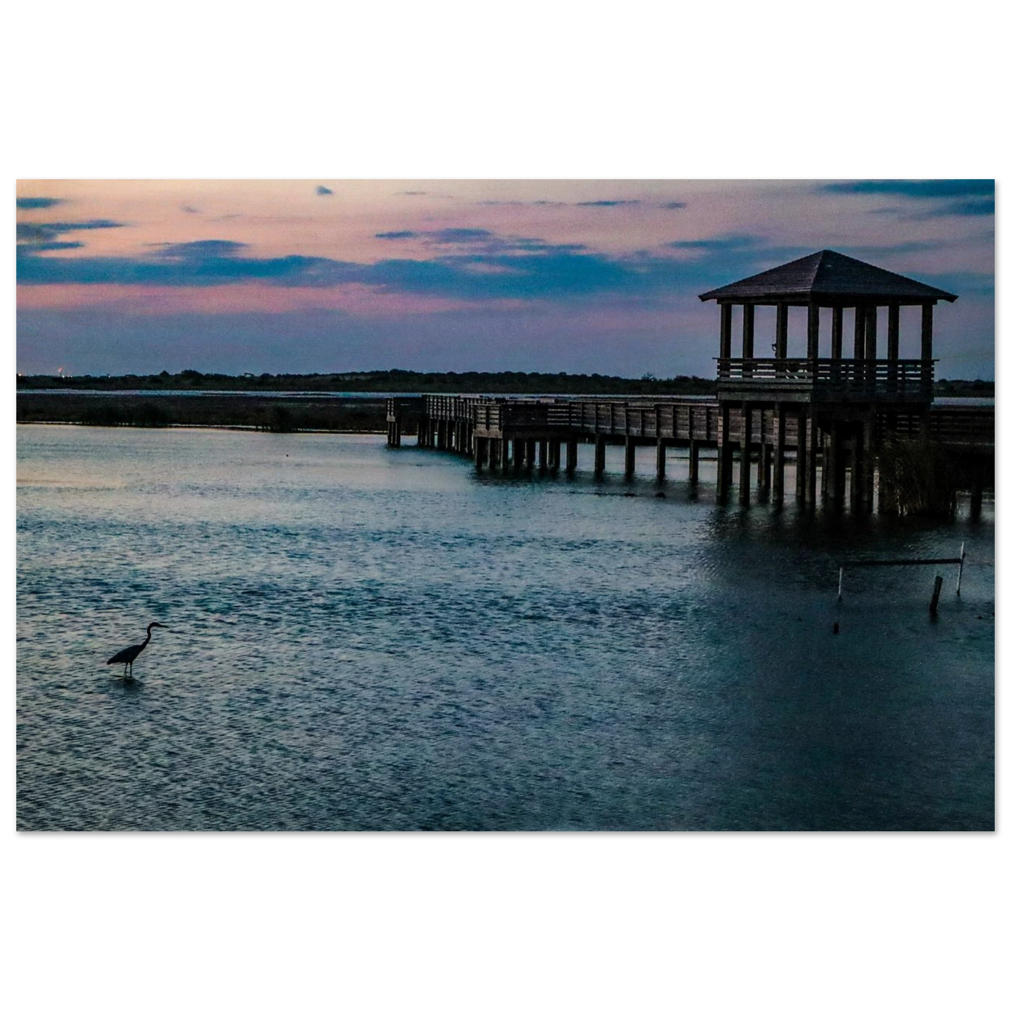 The Heron's Sunset; Port Aransas, Texas Wood Prints