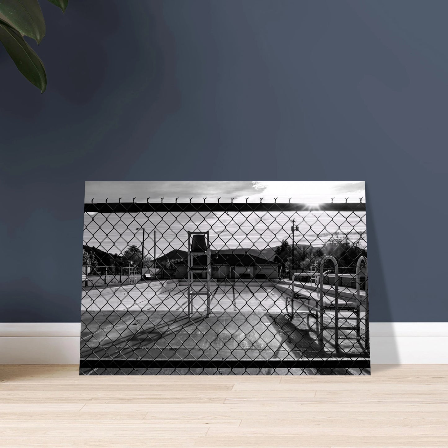 b02c9d4f-5b20-4168-806b-0aa5b48c8e12