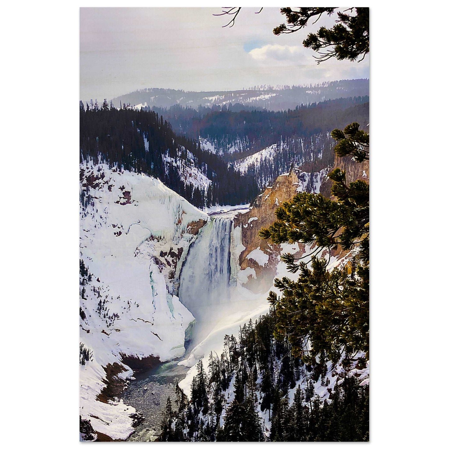 Lower Falls, Yellowstone National Park