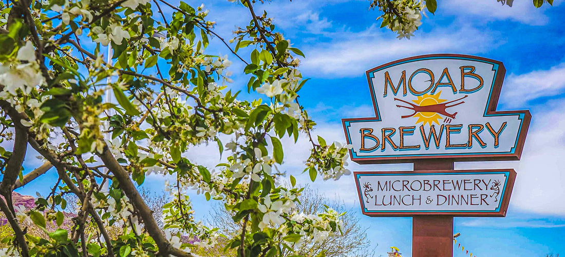 A food essay about Moab Brewery in Moab, Utah by James Bonner