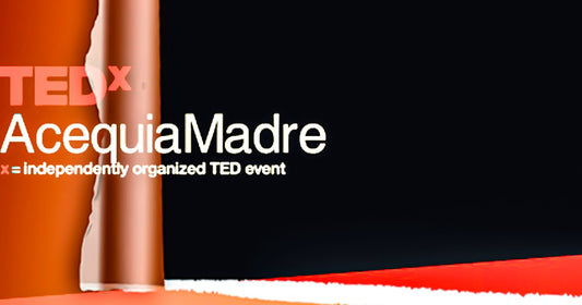 TEDx stage setup representing ideas, storytelling, and personal transformation.