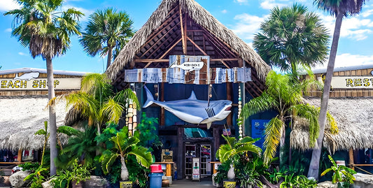 A food essay about Moby Dick's Restaurant in Port Aransas, Texas by James Bonner
