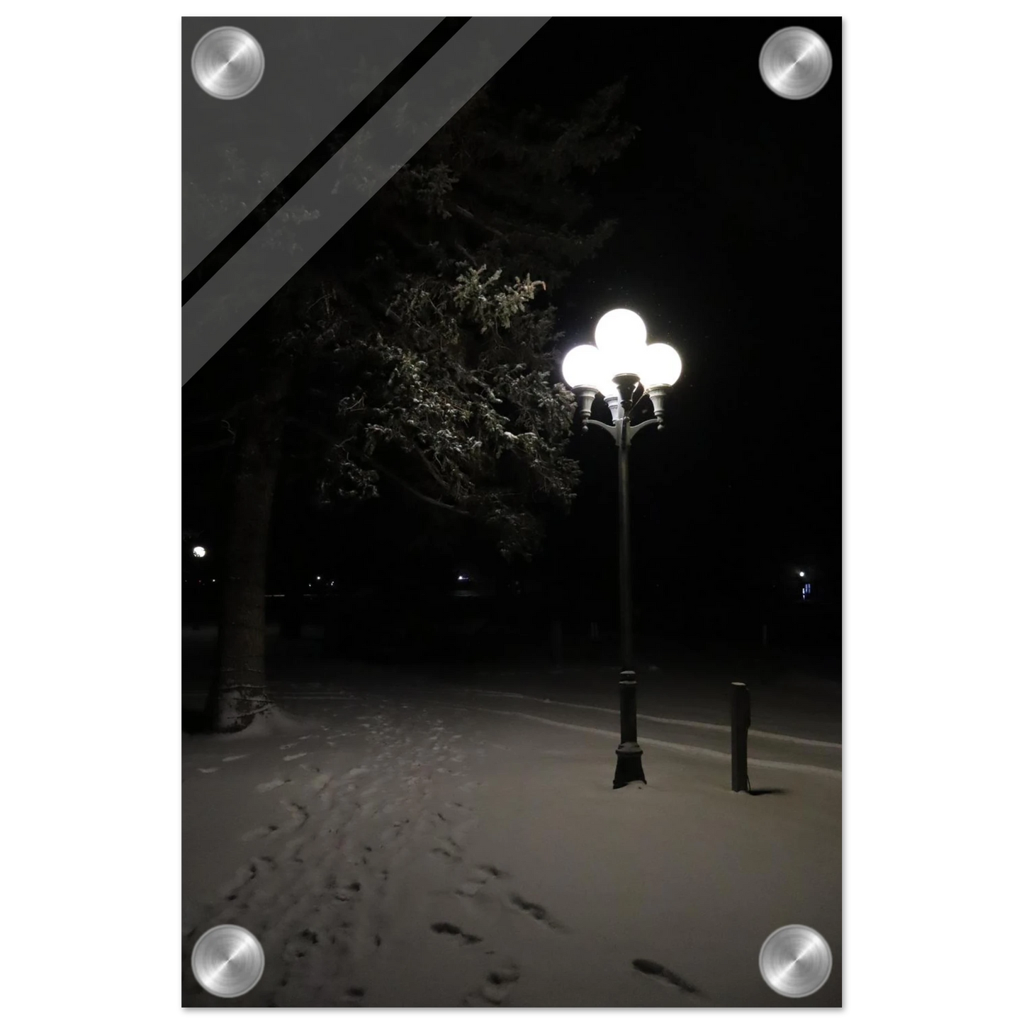 0092dcbd-677e-4fe5-a376-23a39ab60278