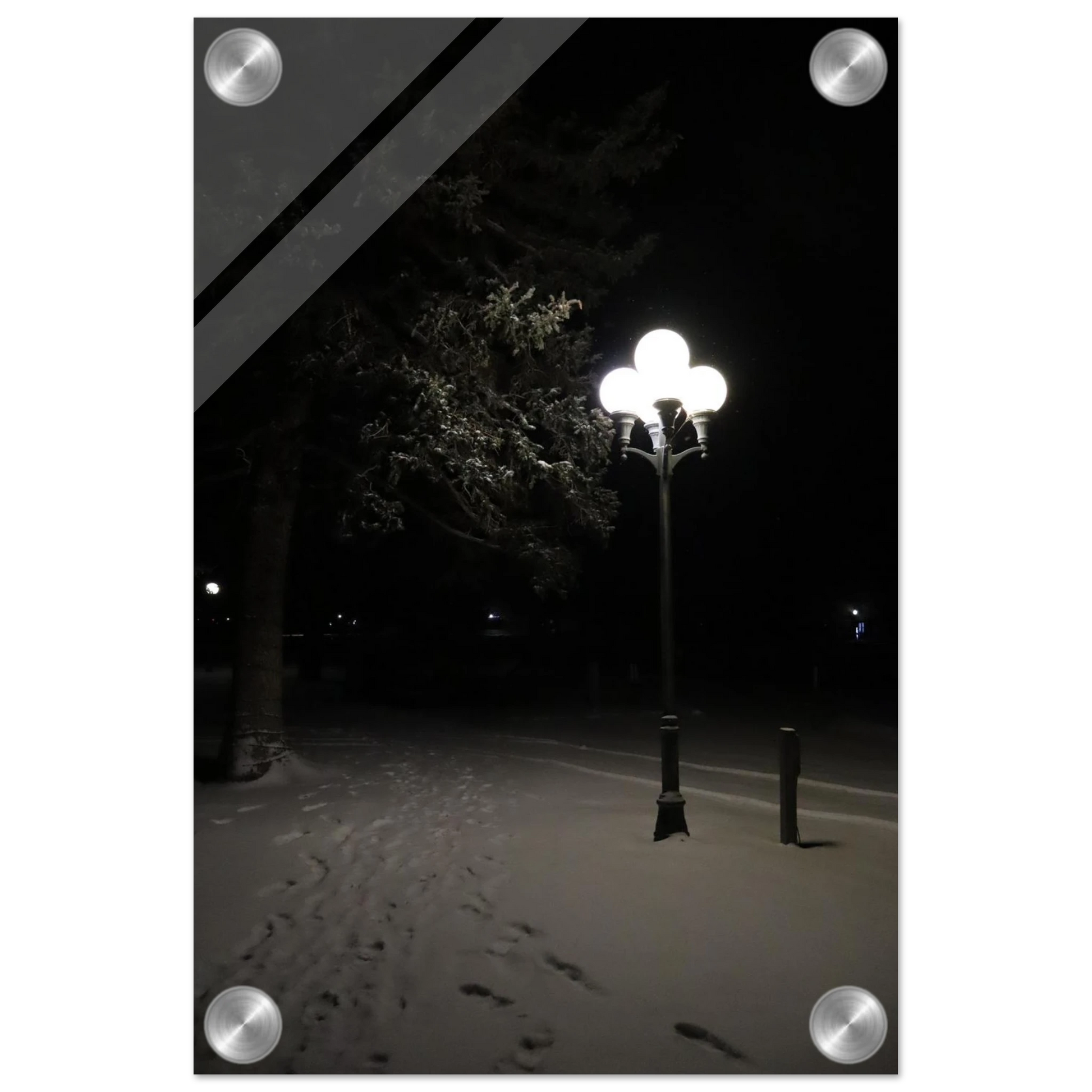 0092dcbd-677e-4fe5-a376-23a39ab60278