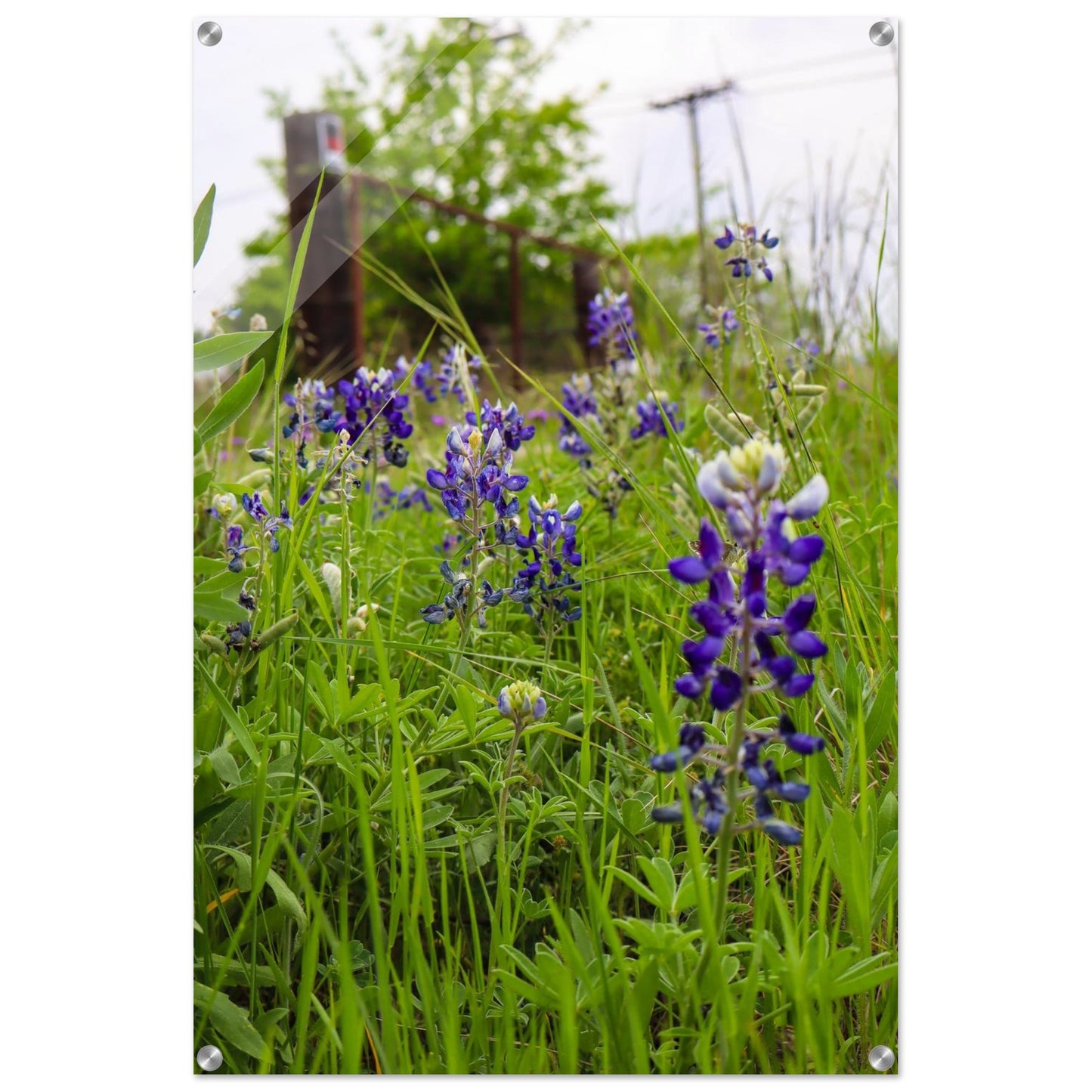 0244861a-70ea-46c7-8162-f043645d0a02