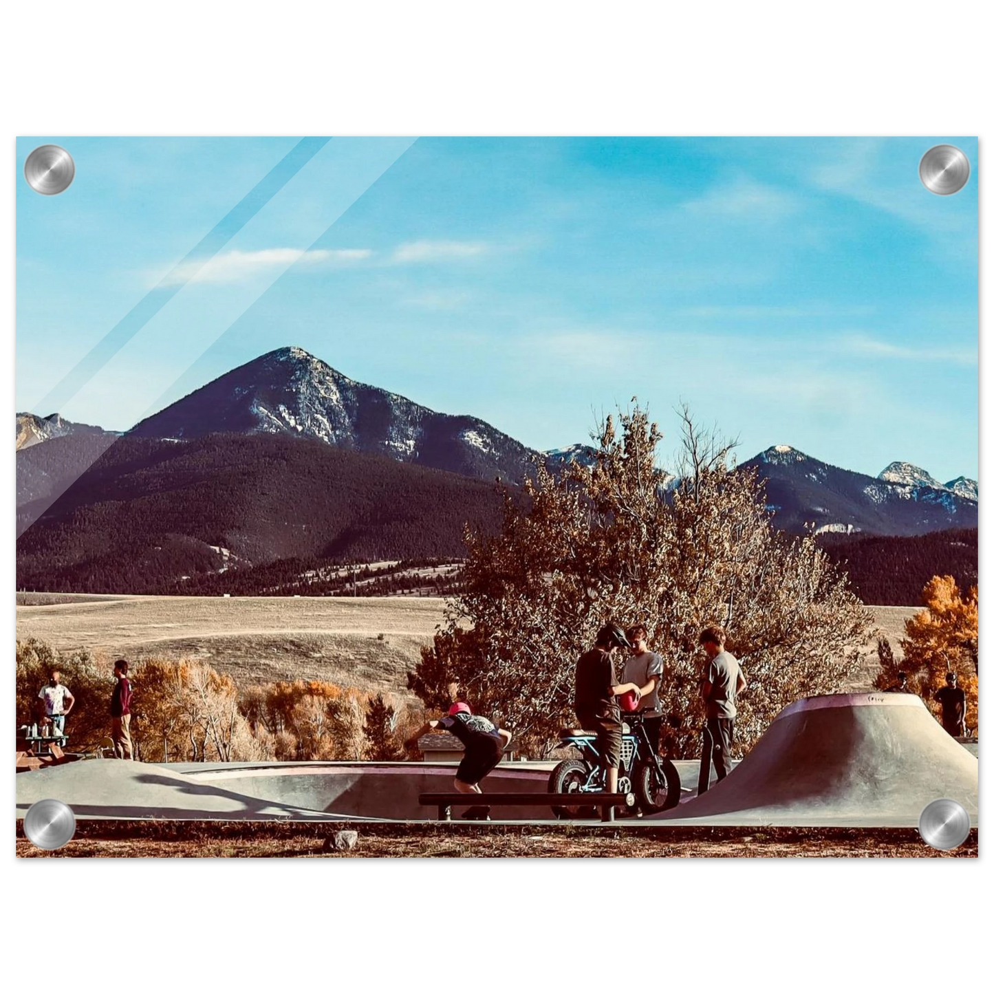 0314e035-cadd-4ef2-a4e3-c5a0d0547467