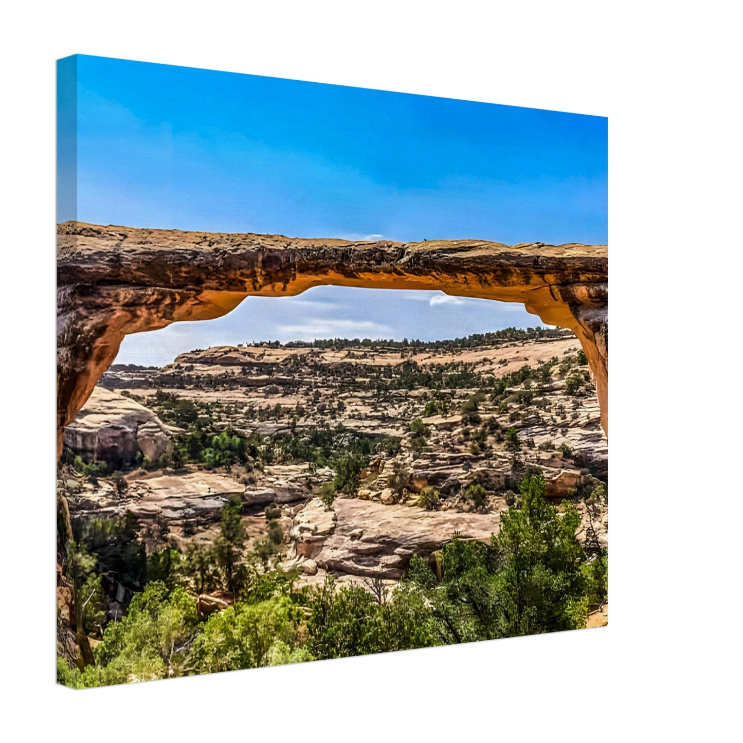 03ed97ec-3a8c-466c-bbd9-0b8598b4cb50