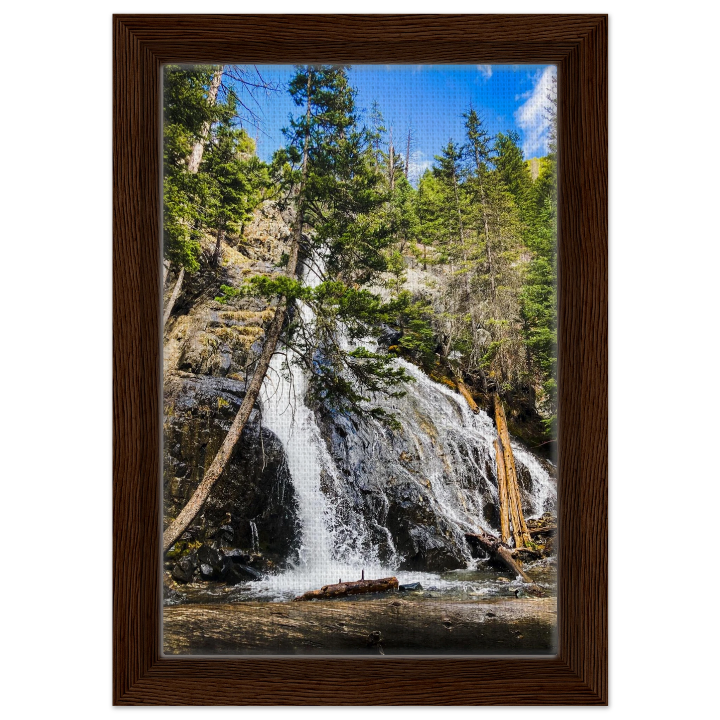 04754e06-43a0-46ad-9609-f220dd85c4a9