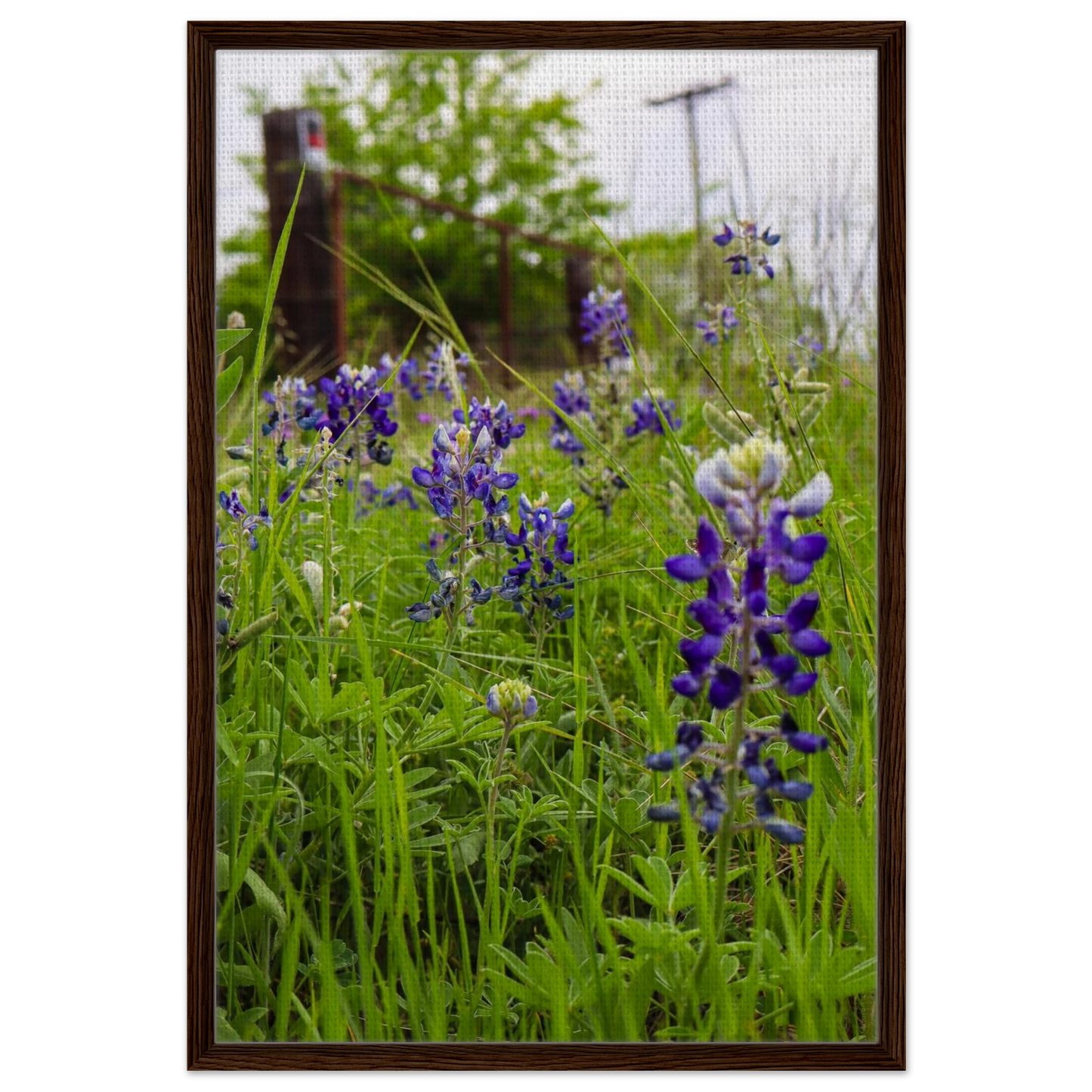 055fc53b-ff4e-4711-8232-a66f69c4efcd