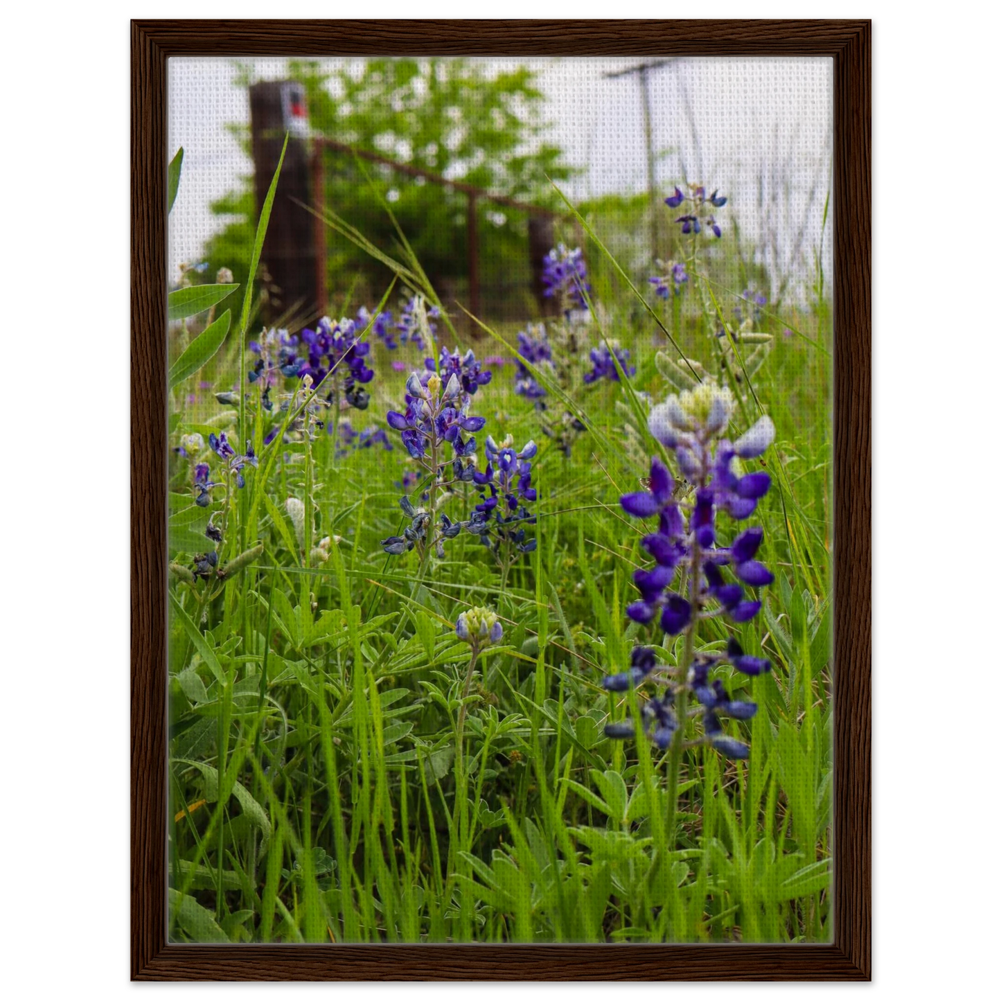 05c11399-1fab-4ea7-a70a-65fe4b729591