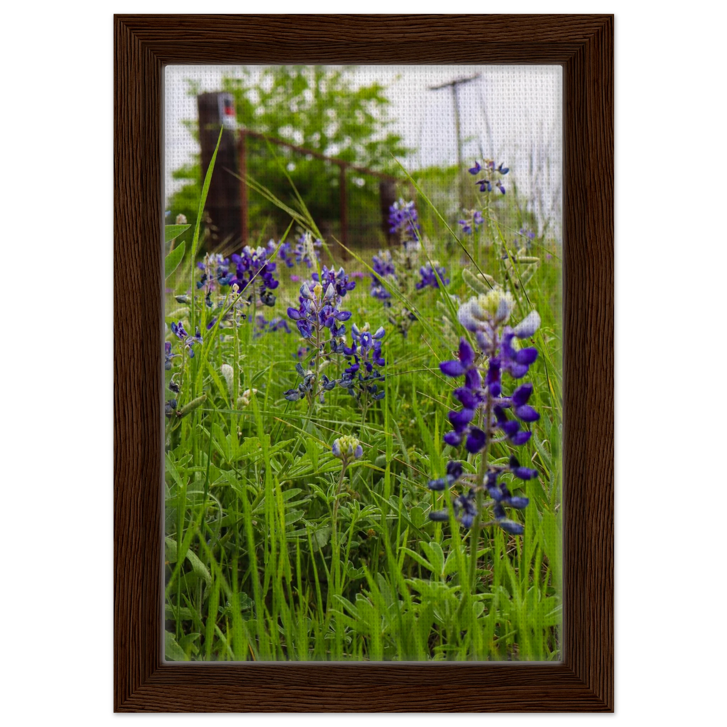 0ce53921-5437-40ed-b2ce-8c768dd39184