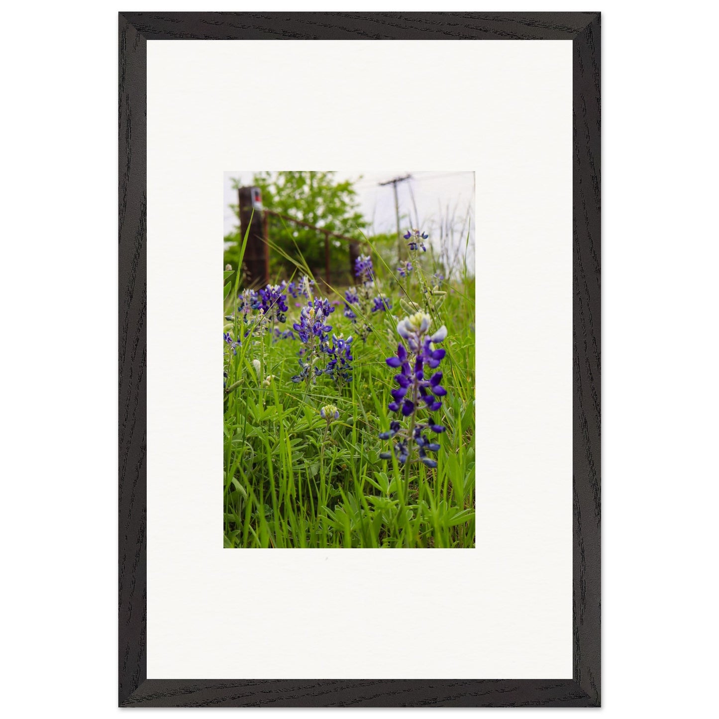 0e500c1d-7bfb-4702-9ff7-293bfaf4a4b3