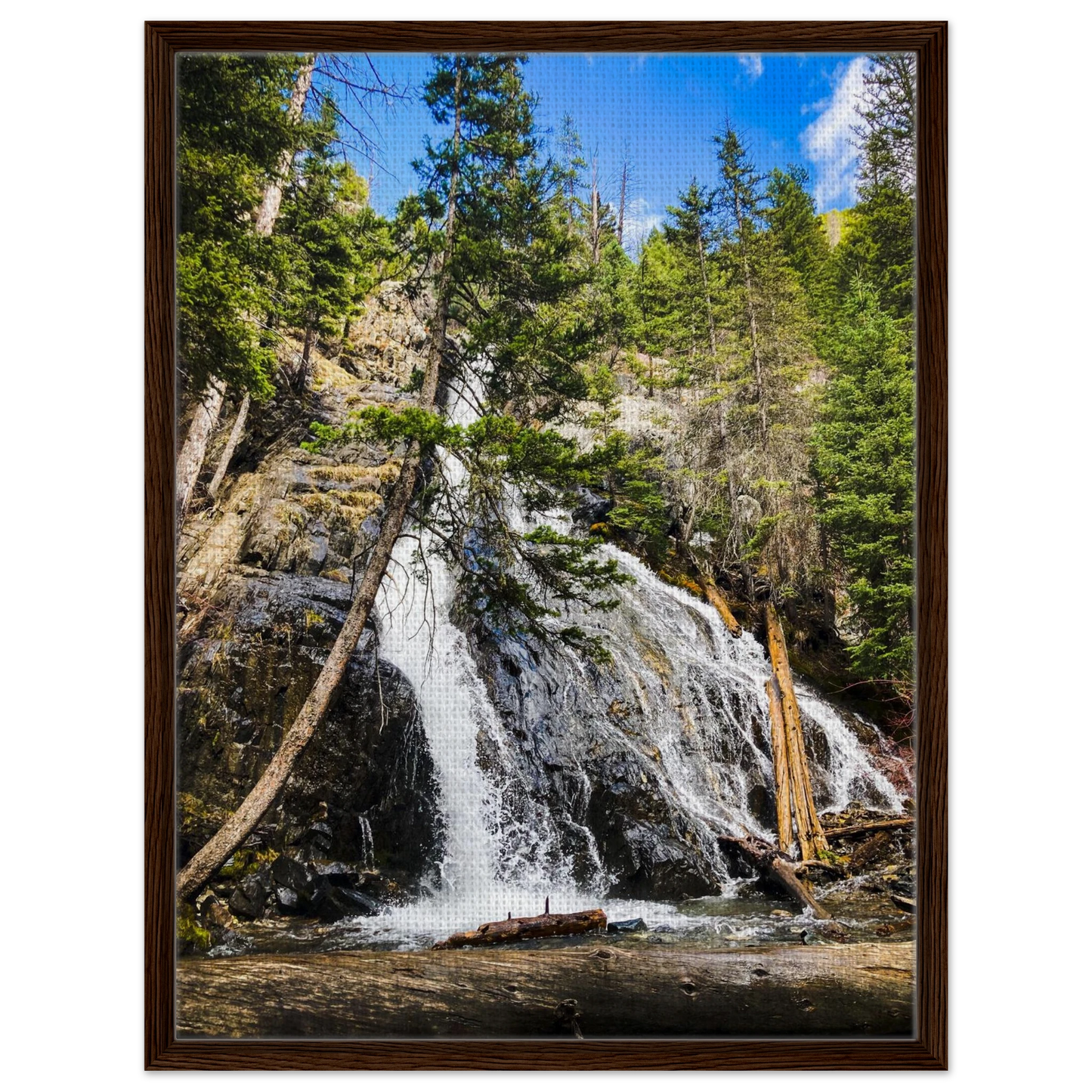 0fc2d6f3-9bc8-4746-b518-b3c10f2b18d2