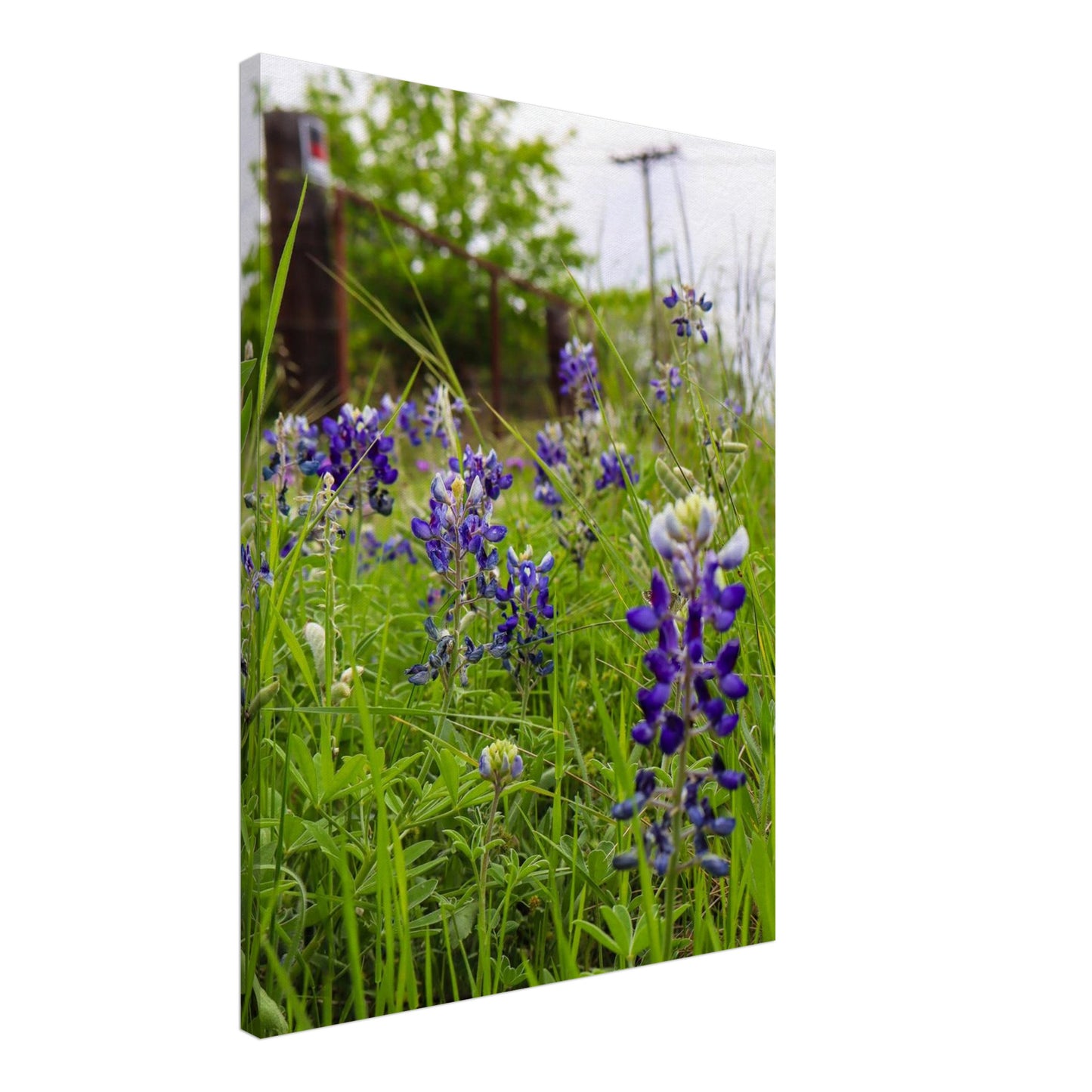 11201af0-5721-4bb0-b794-5d0183108020