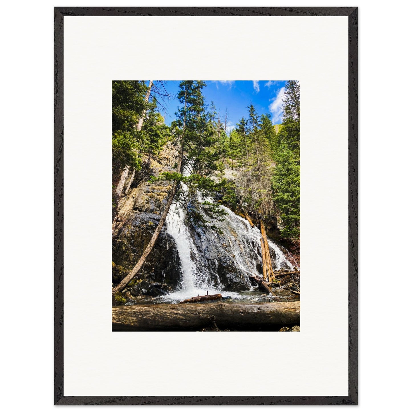 11e9702e-d7c7-4edd-9b78-637bddaf0ffb