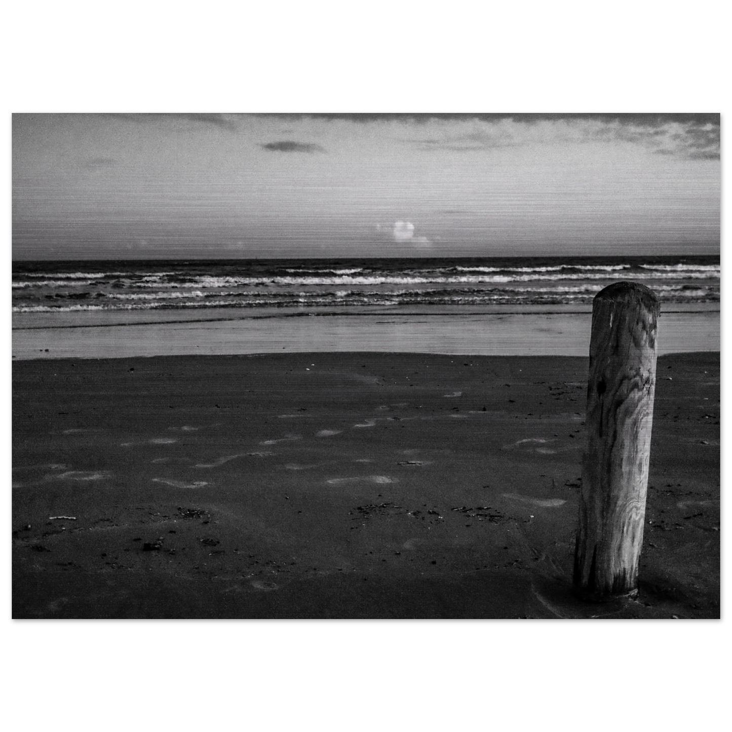 12781050-ef5a-4a2e-9059-e0d83ebe9d91