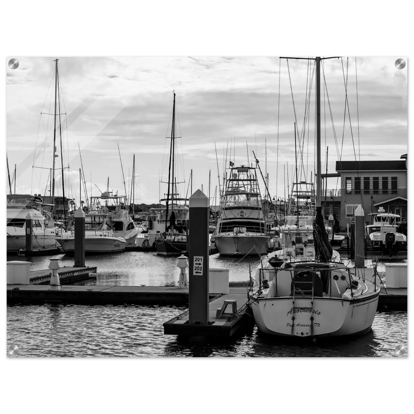 13ceed2c-4620-4489-81ab-e343222d16f3