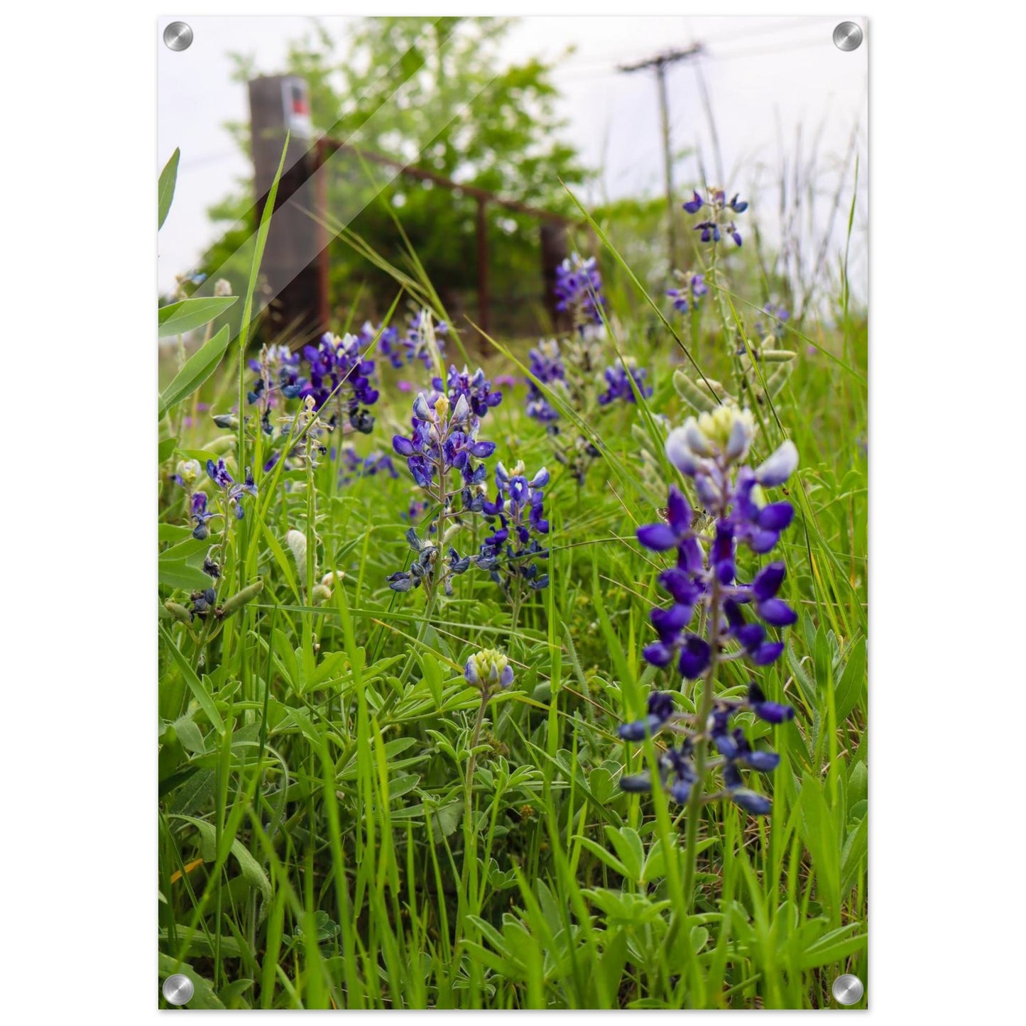 17762584-876c-47fa-b991-f89f251554df