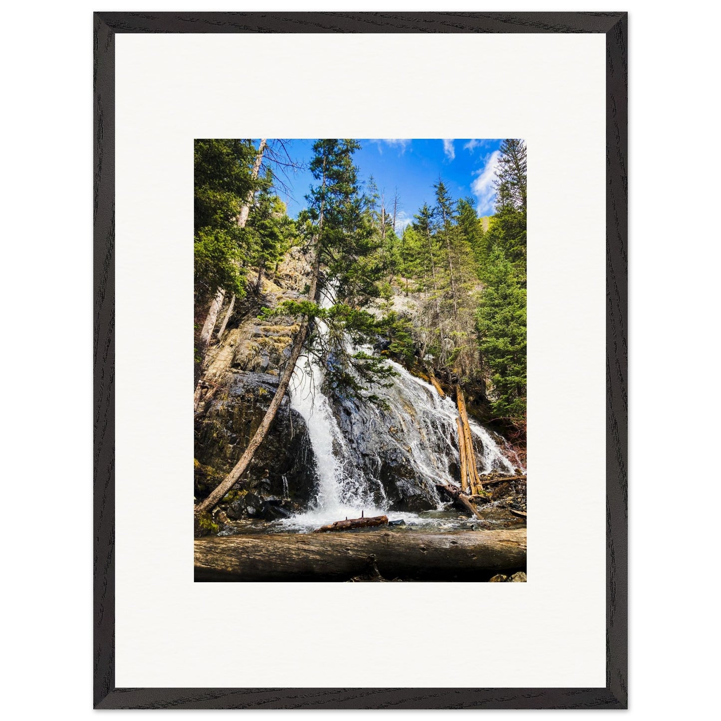 184184d0-6d08-45fa-a923-cff8ead85f5e