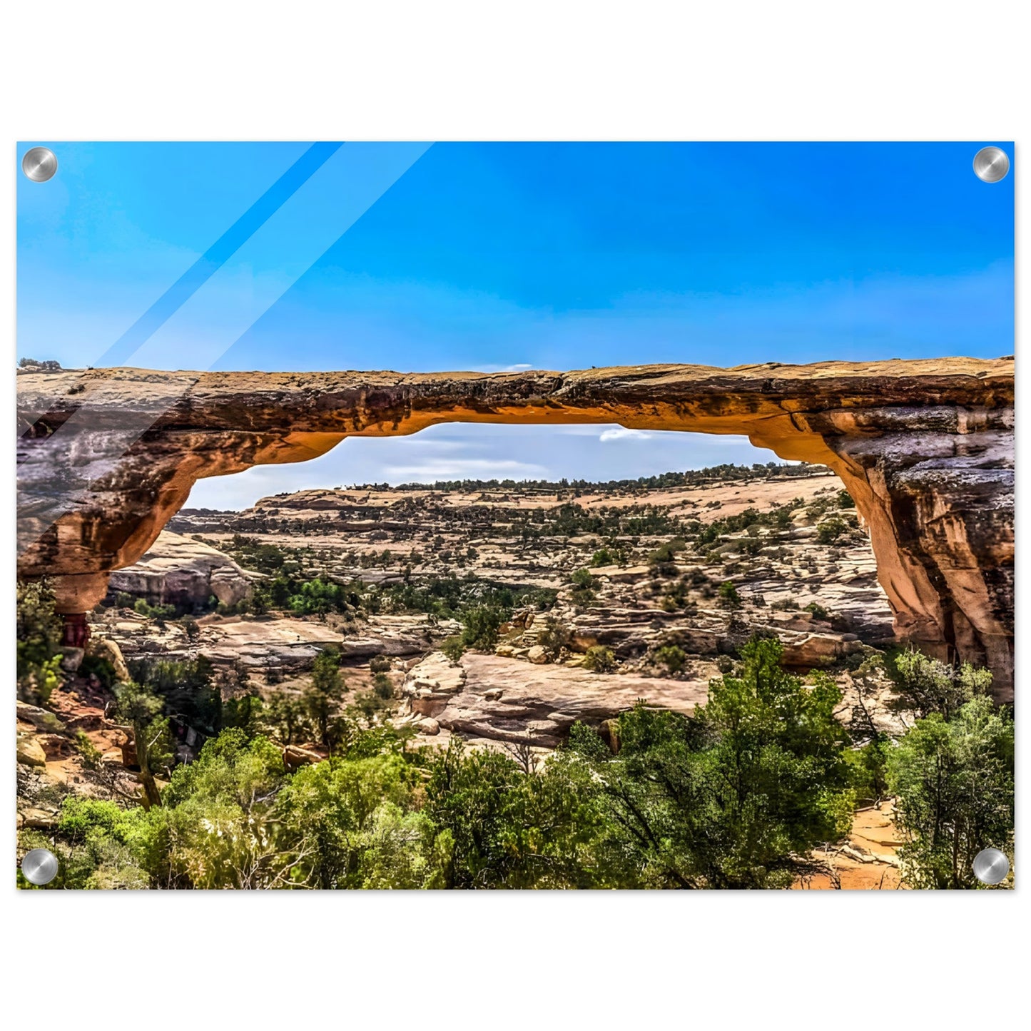 187e4d16-0cb4-4dbf-bf74-607680f25a89