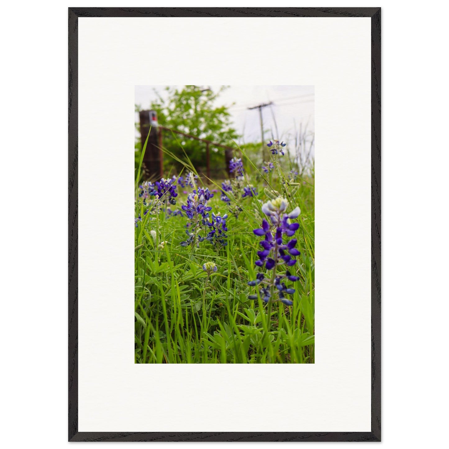 18c38b11-1b1e-49fe-939b-8d8f19073905