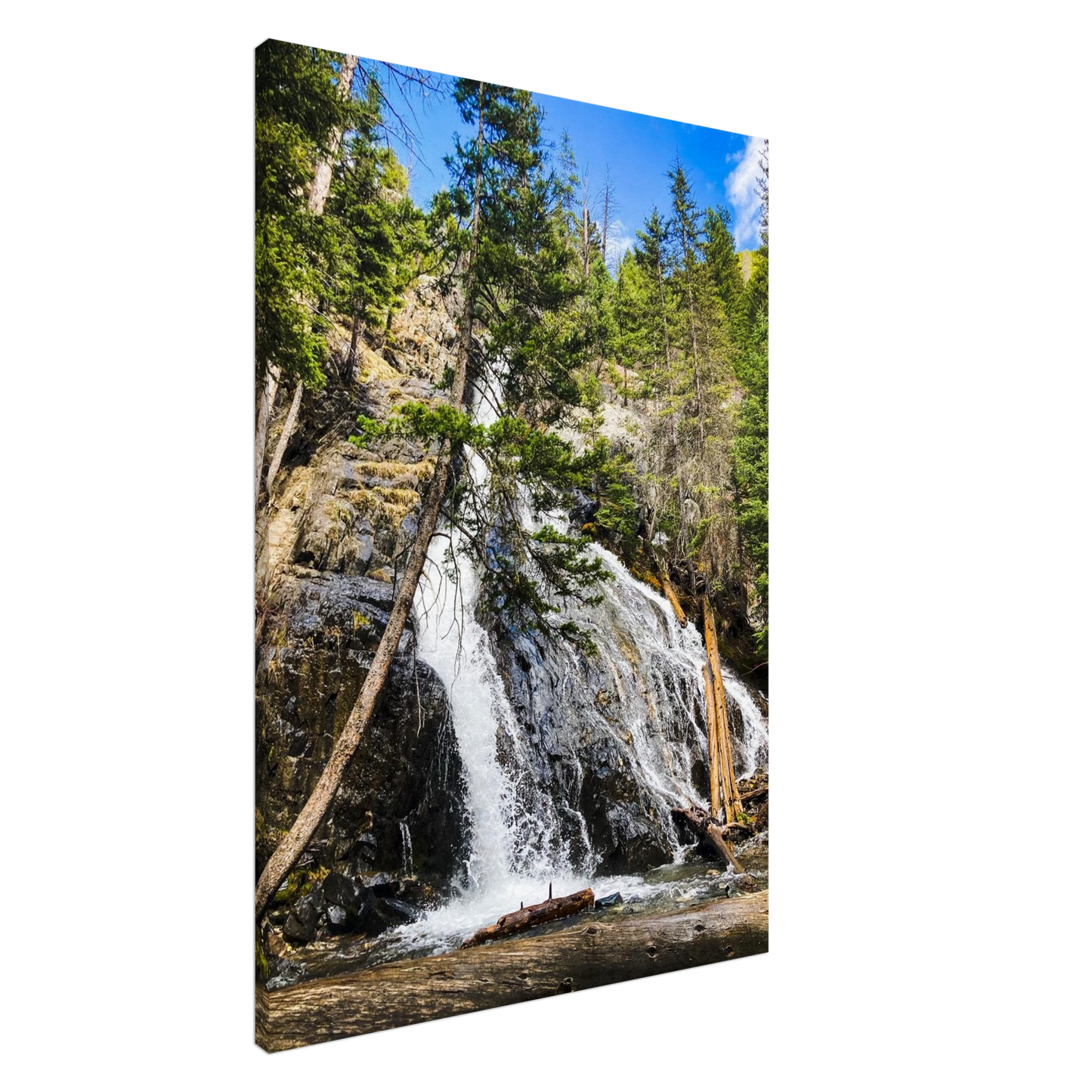 19287c71-07a7-4fad-a156-38d9c336d5d6