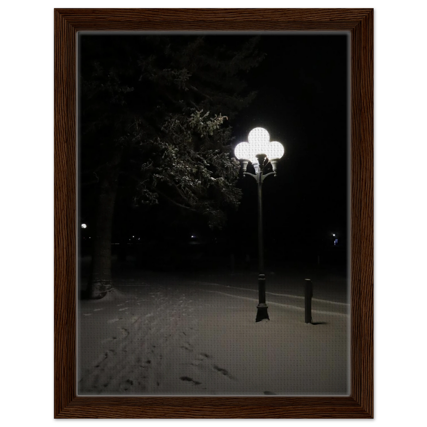 195b9000-d366-46b5-bd0d-4ba015c3b9e4