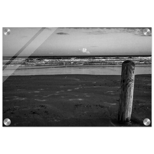 1a54bae7-c168-4a2b-828f-b9d607254154