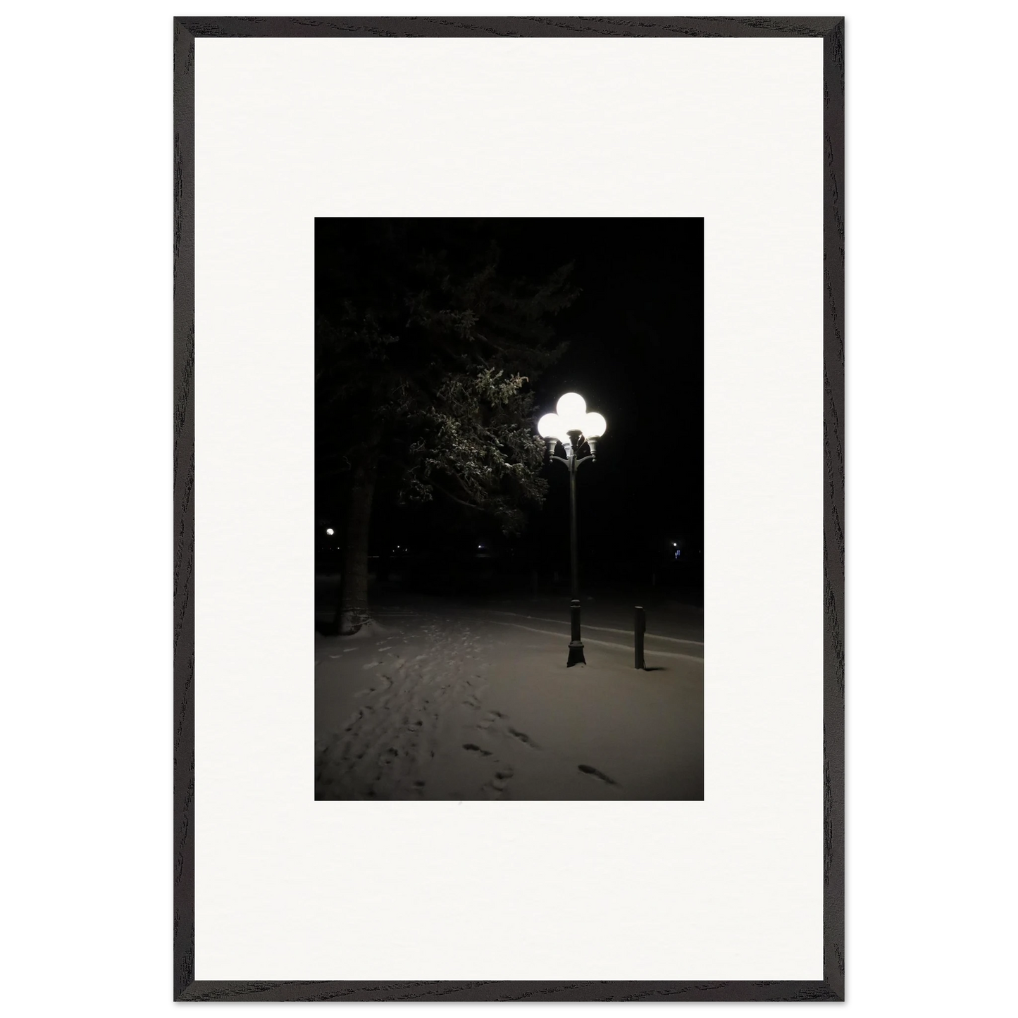 1b6d1c03-fdd5-46f1-8645-fc63193dd0e9