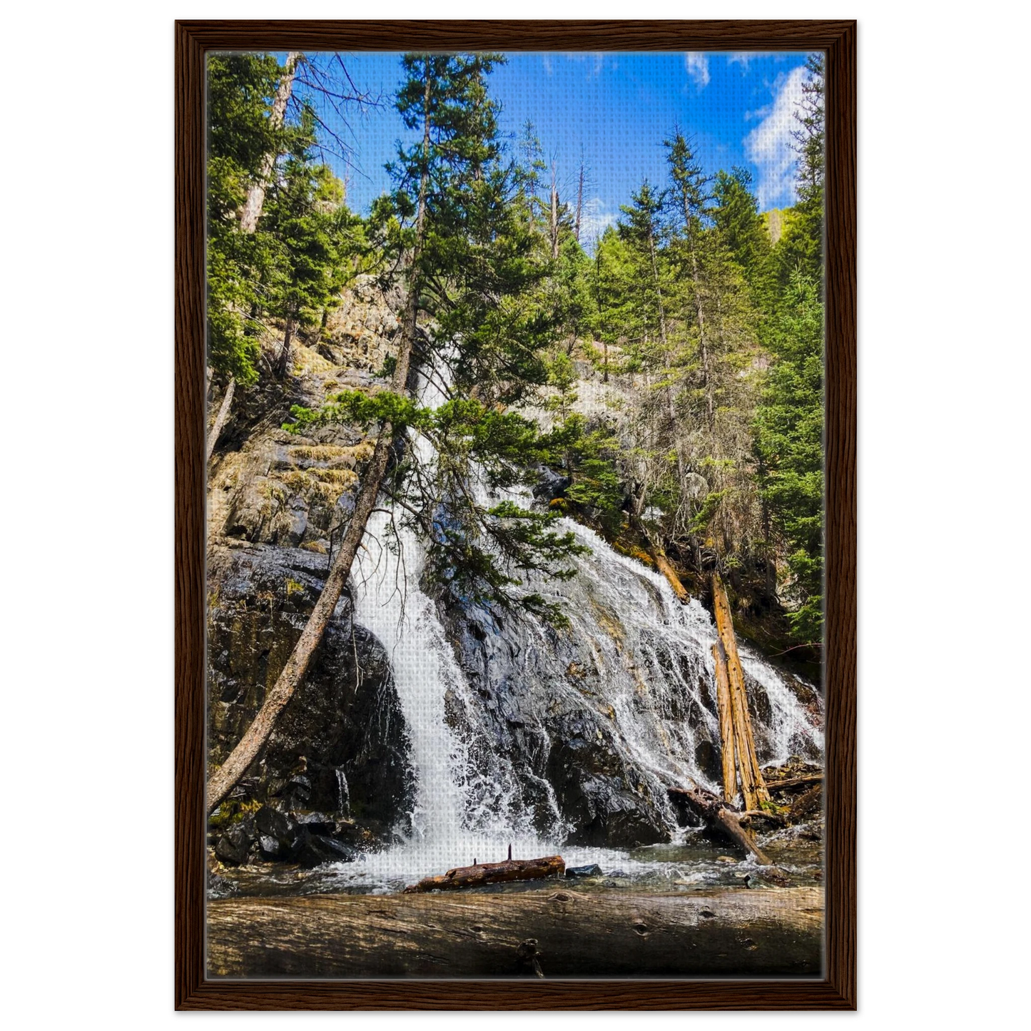 1be58888-255e-4e6c-82c8-04e38a72848e