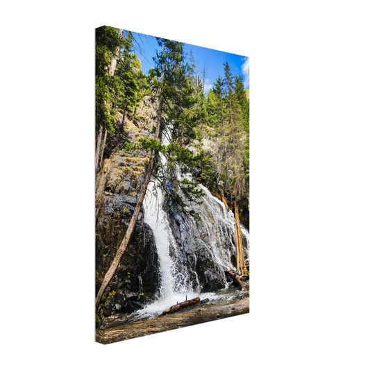 1ea6bbf5-8248-43da-934a-a575cc8d681b