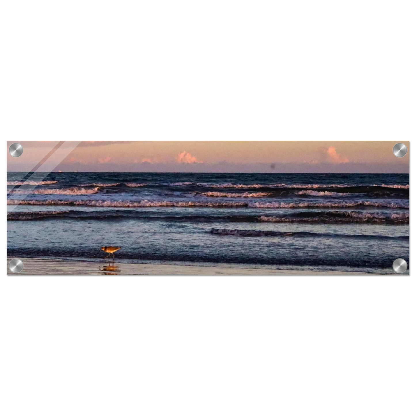 20b04116-da73-427c-a147-3b8e36aa9ce7