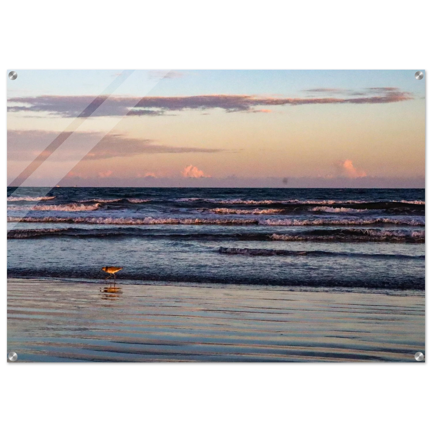 2166c681-1cf0-450b-a386-c5f50f9c2aa4