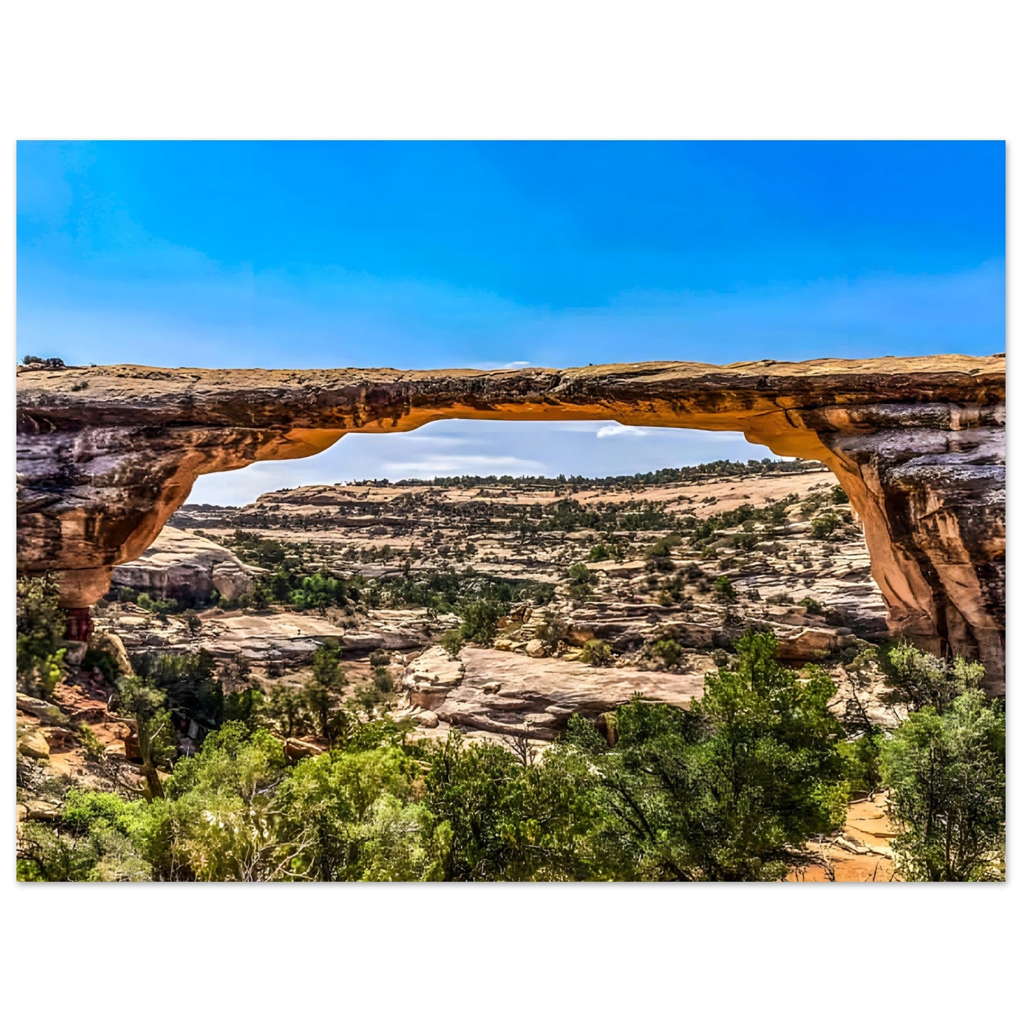 218ddd47-0583-49c2-b1f2-0acf95023cbf