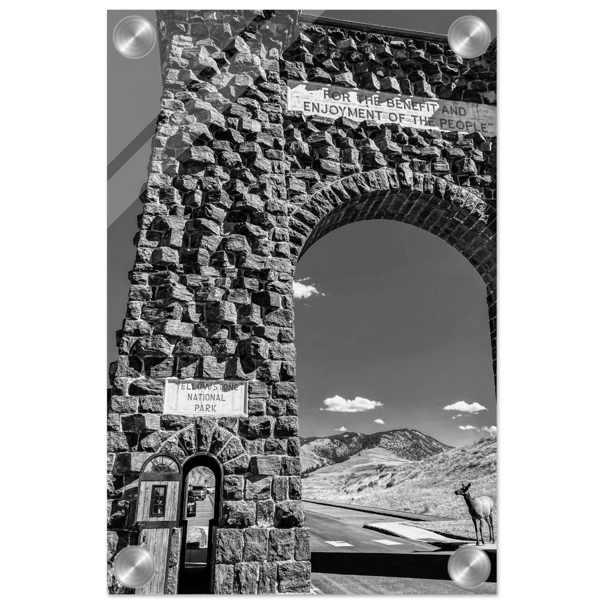 21fb511e-0276-4e99-b713-cd83f4957453