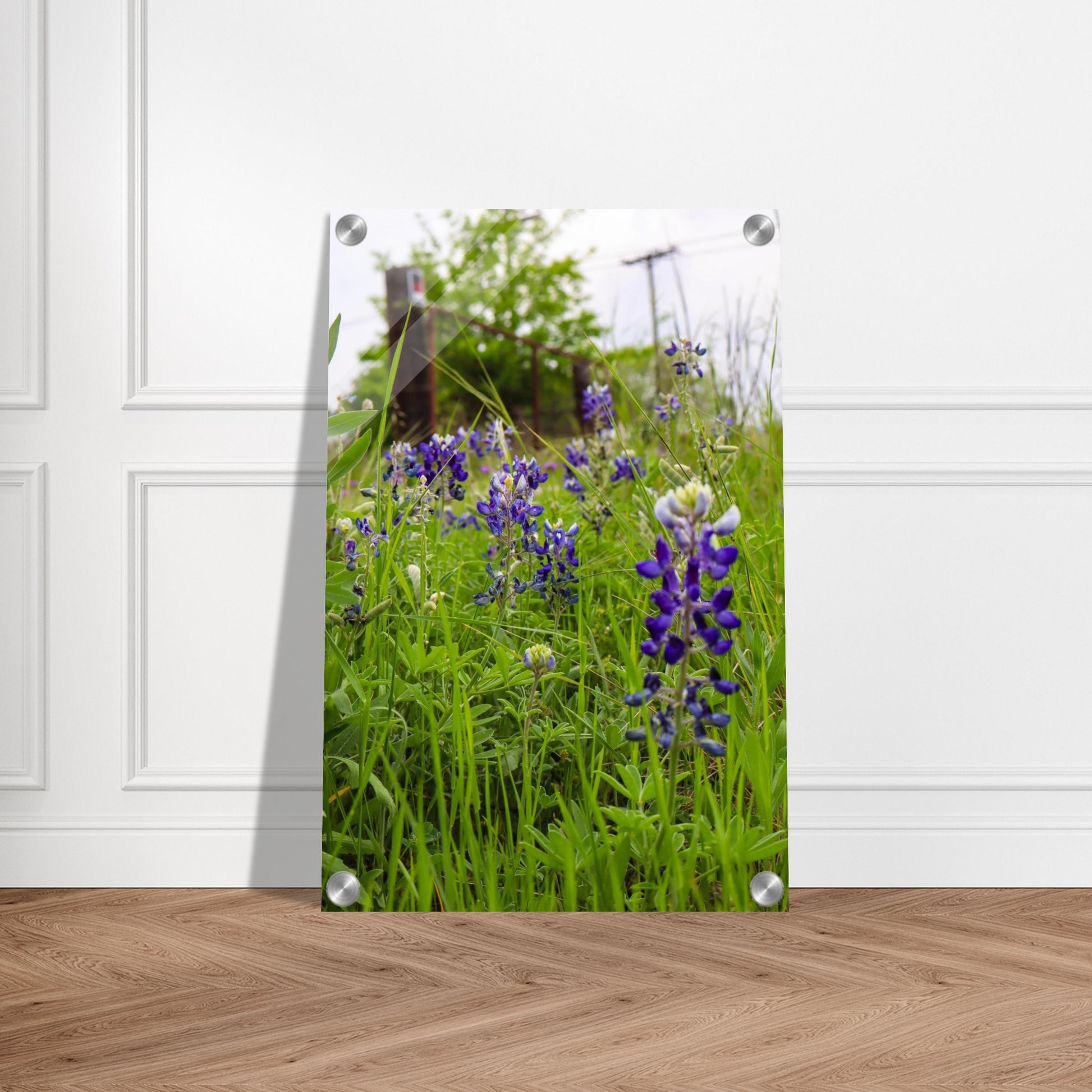 22c536d3-7cff-47ee-8320-f6751688e1f7