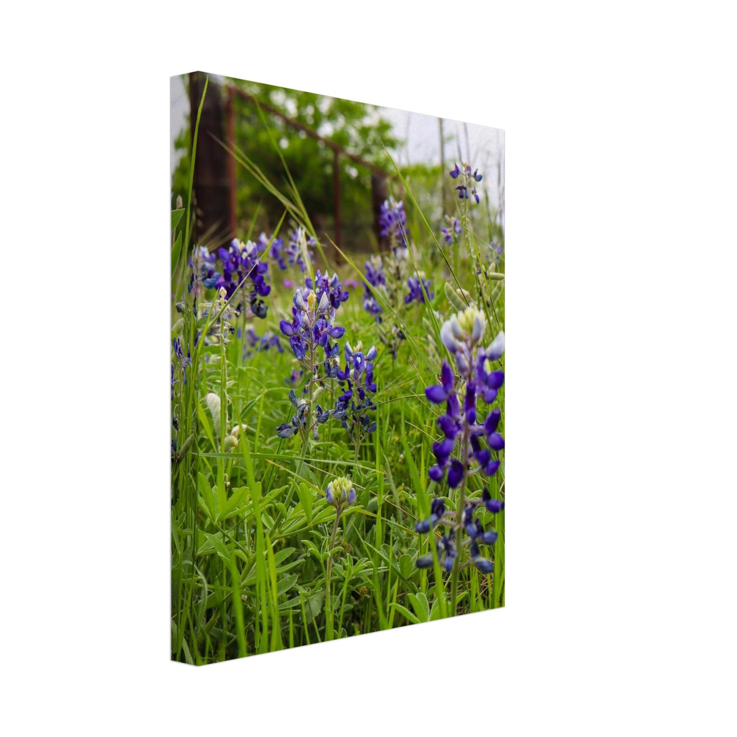 231e0b4c-d053-4b88-9ccd-70c1d0009ab1