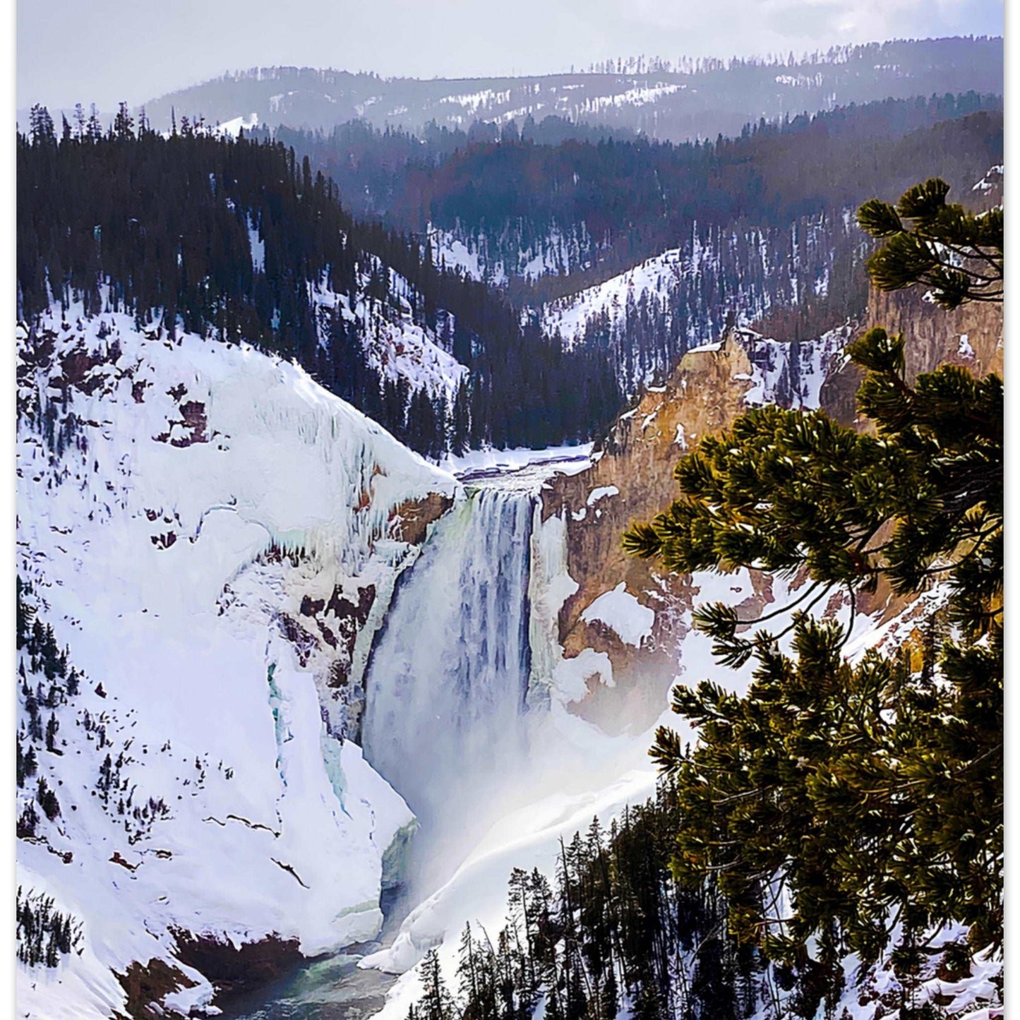 Lower Falls, Yellowstone National Park II Premium Matte Poster