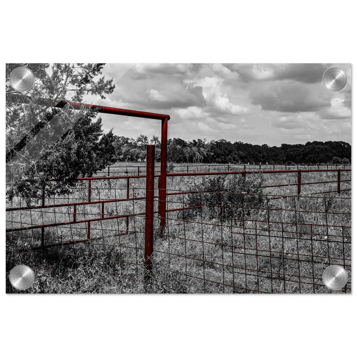 265171ee-0d86-43ea-bebb-1e9b5c9adb8f