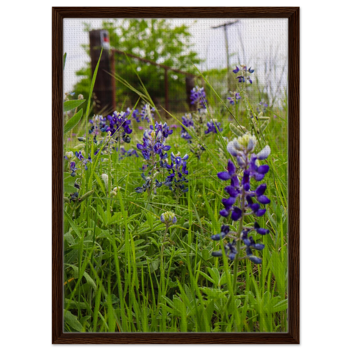 298e7279-1e85-47d8-98f1-f5e01201faa9