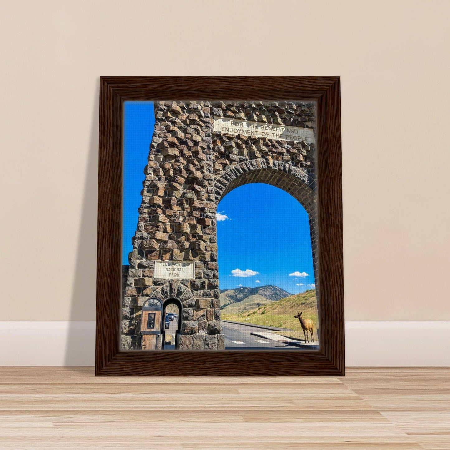 2998eac6-8de5-4b02-9250-c9e49fc47d97