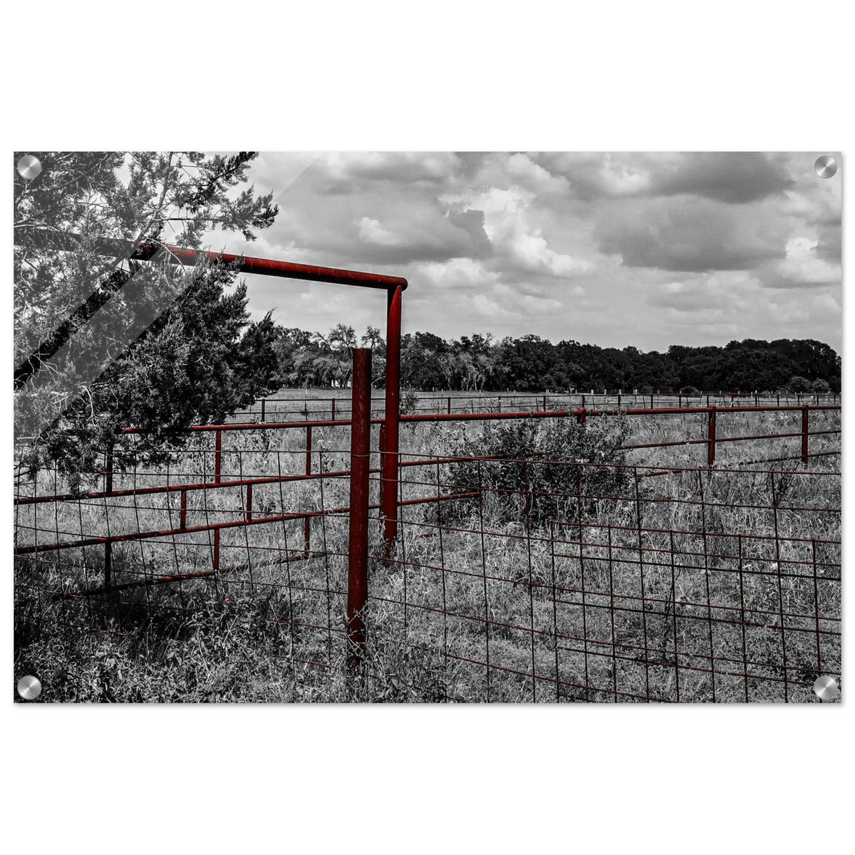 299e6391-c621-49b4-ac8b-e13241688d29