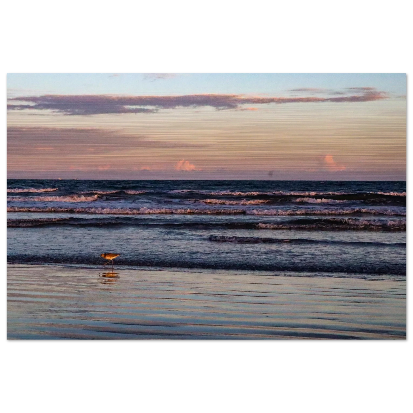 2b4872ec-8e28-4c24-ac98-f81945011e20