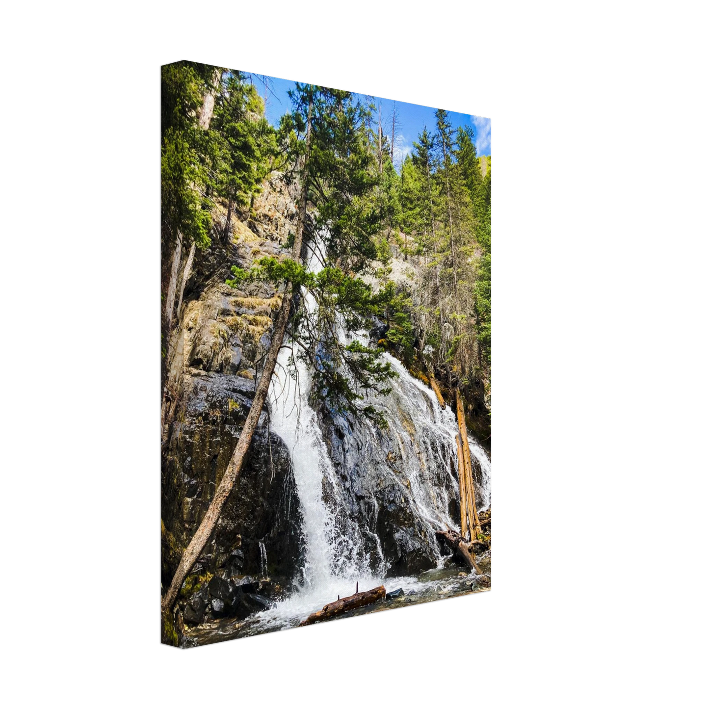 2bcf2593-e471-4a16-b58e-ce22c15c17cf